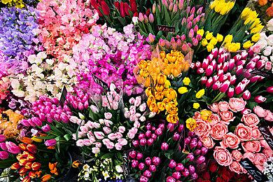 恐怖游戏《逃离食人族一家》上架Steam 帮少女逃脱